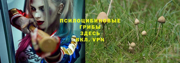 герыч Алексин