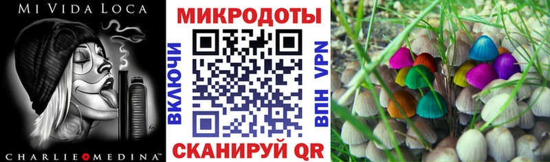 Галлюциногенные грибы прущие грибы Рошаль